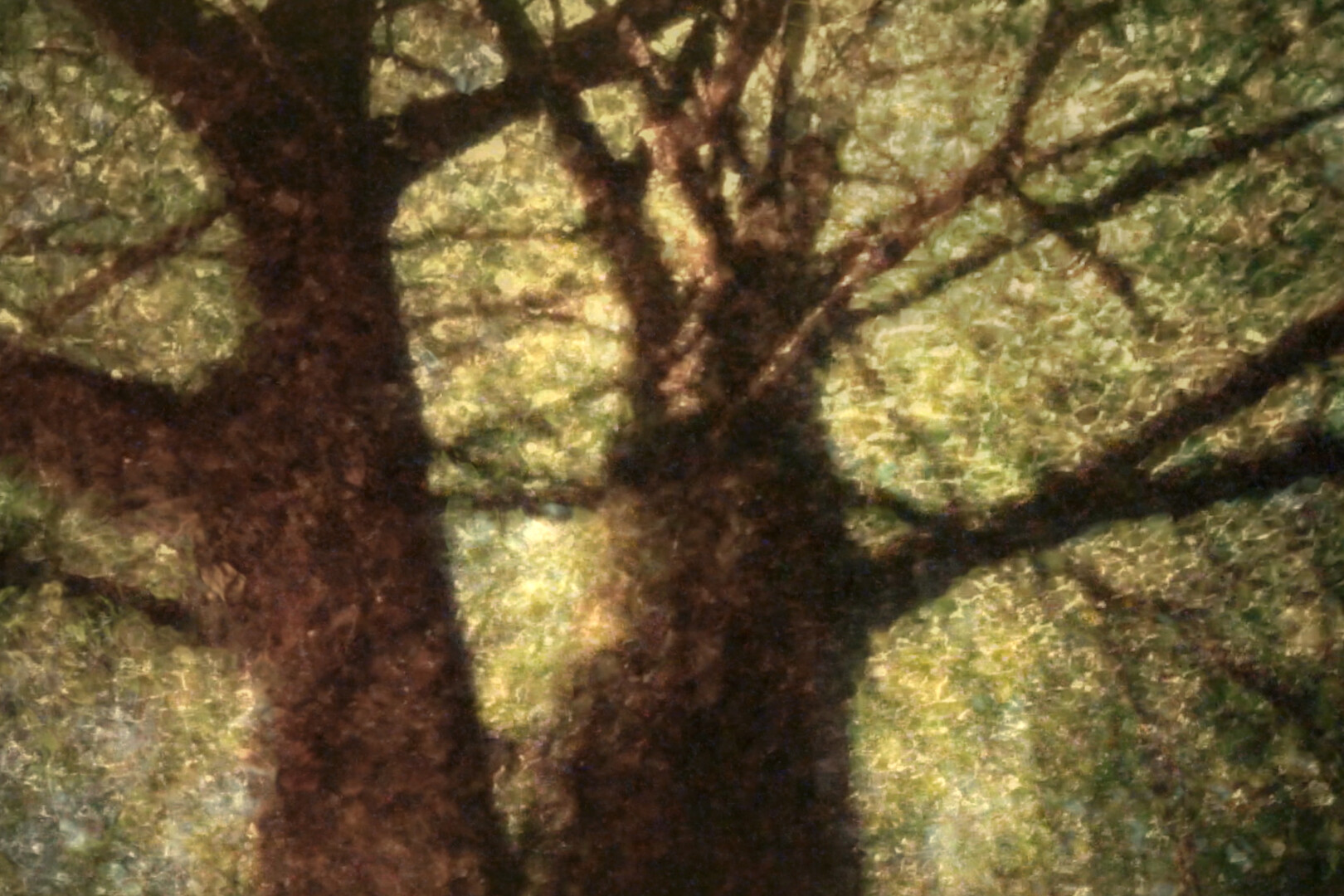 Agnosia - dir. James Autery