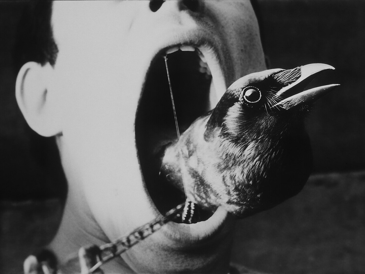 Corvus – dir. X New Worlds, William Greiner