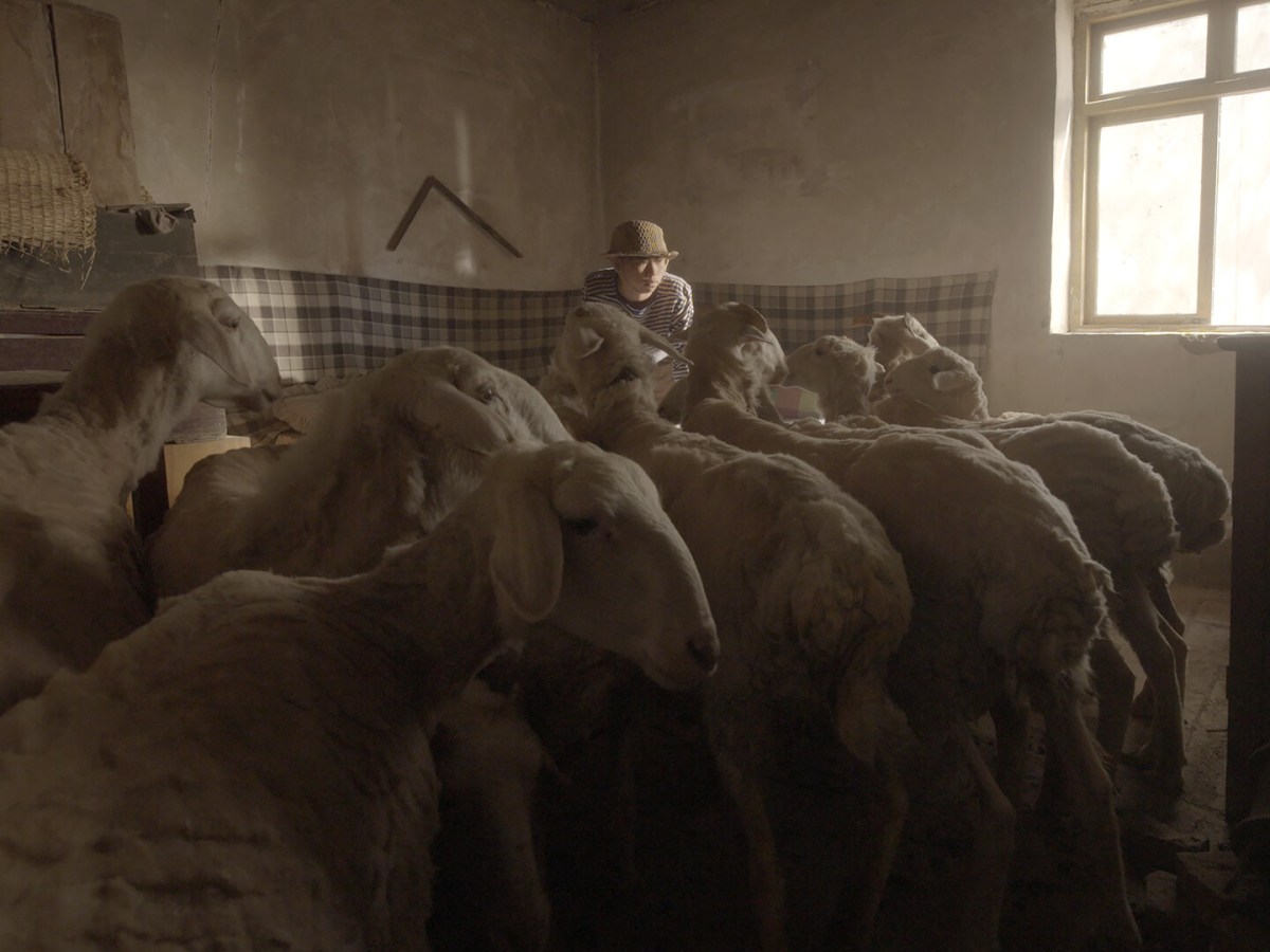 Fertile Land – dir. YU ZHU